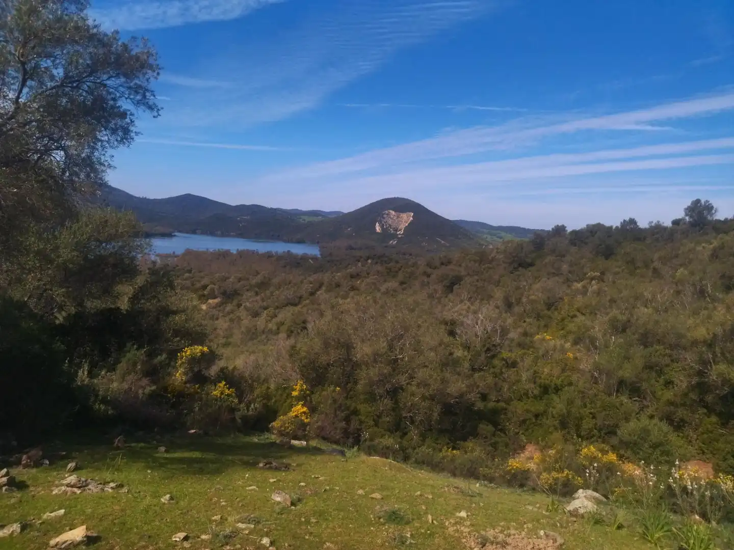 Terreno rustico in vendita a Ubrique