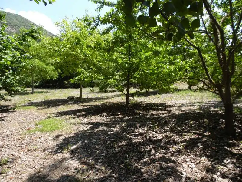 Houses for sale in Valle de Tobalina