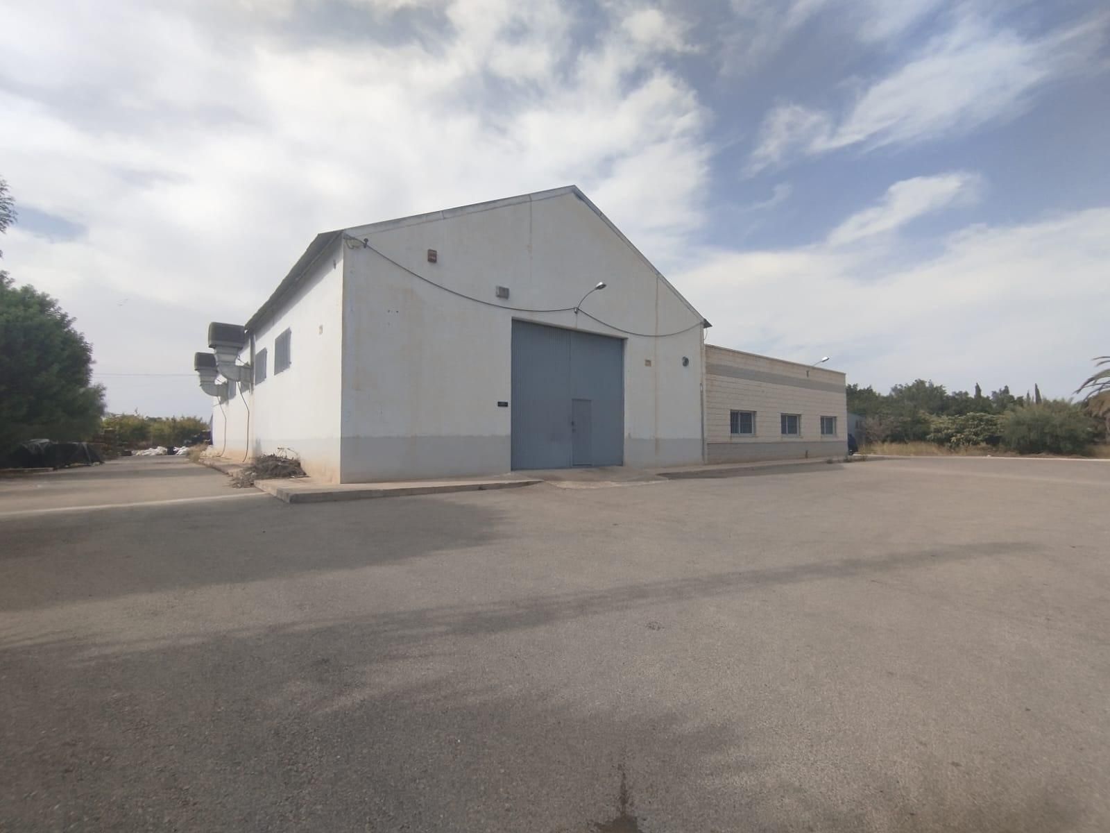 Vista exterior de Nau industrial de lloguer en Elche / Elx