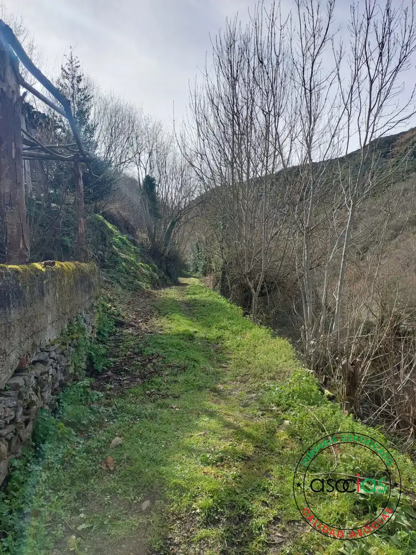 Haus mit Garten zum Verkauf in Cangas del Narcea - CS CIELLA, imagen 21