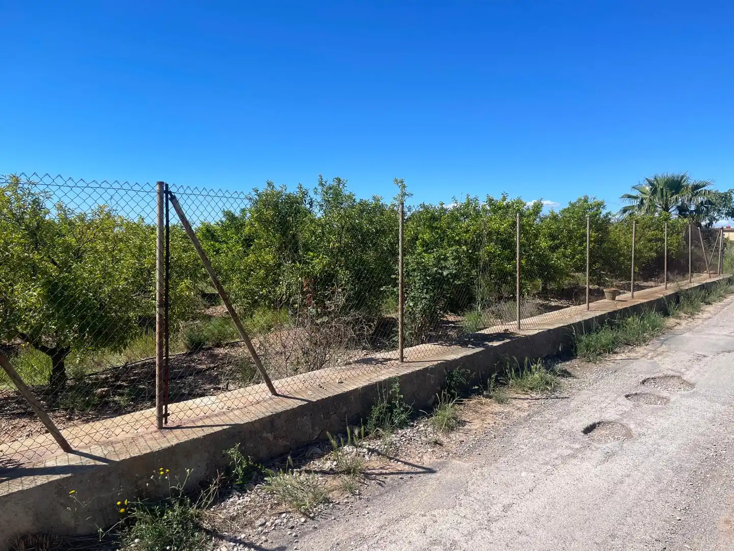 Grundstücke zum Verkauf in Castellón de la Plana / Castelló de la Plana
