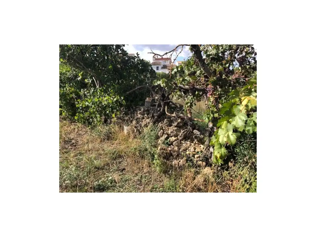 Casa en venda a Játar, imagen 12