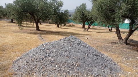 FINCA RÚSTICA CON OLIVOS EN EL ROMERAL, PADUL, immagine 4