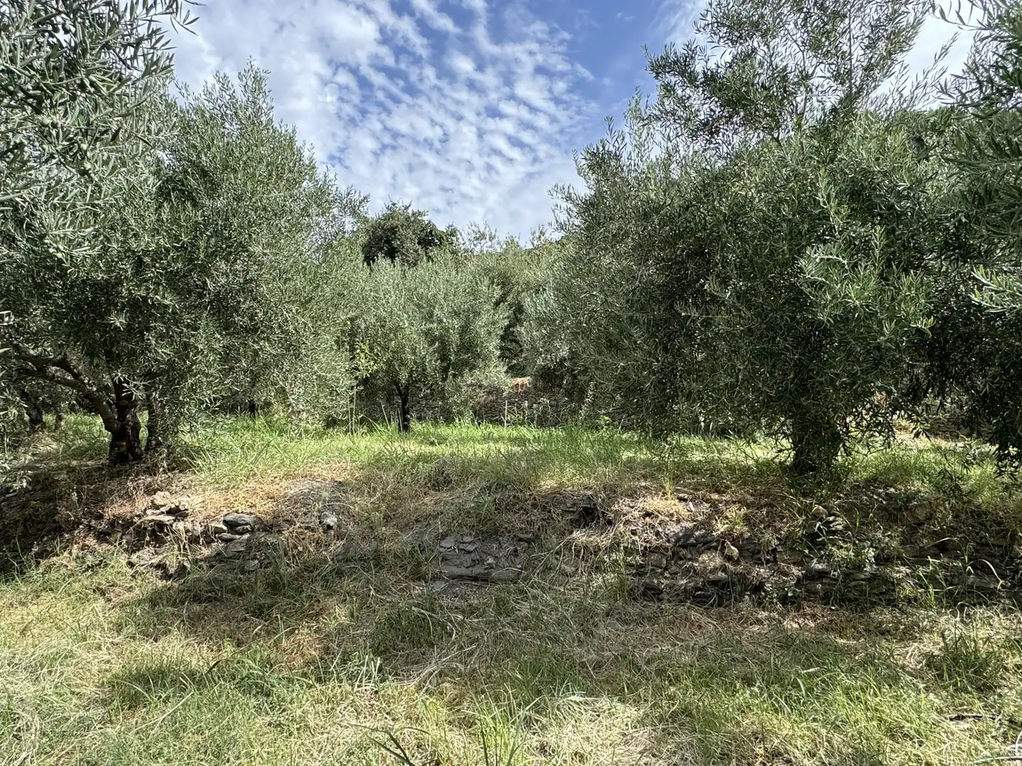 Terreny en venda en Ohanes