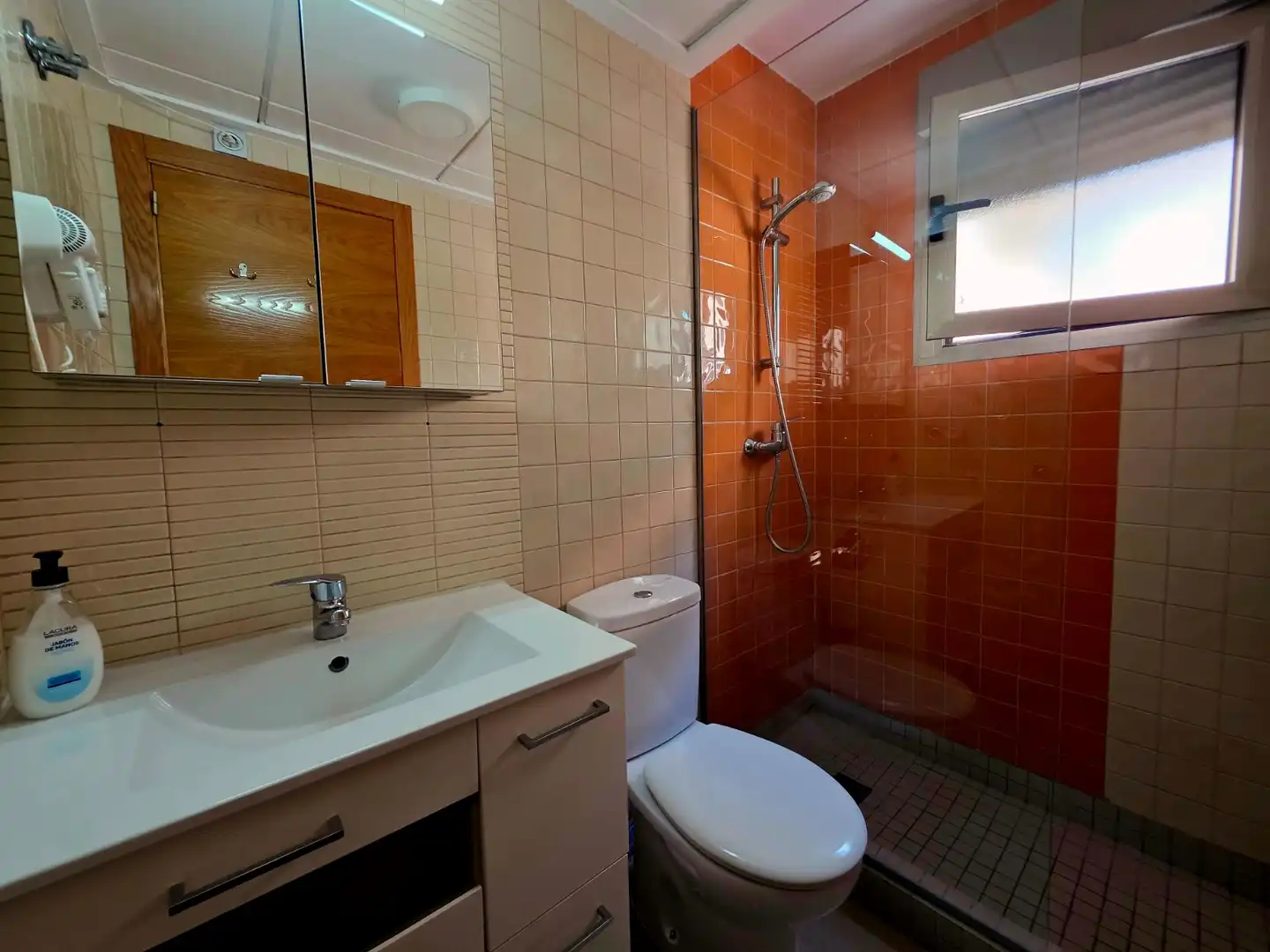 Baño de Piso de alquiler en Torrevieja con Terraza