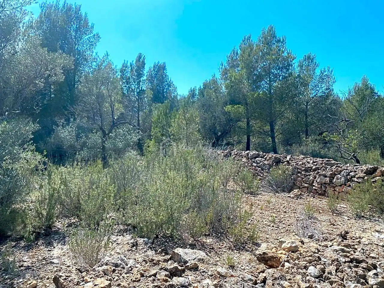 Residential zum Verkauf in Carrratillana, Roques Daurades - L'Estany