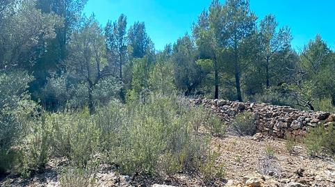 Photo 4 of Residential for sale in Carrratillana, Roques Daurades - L'Estany, Tarragona