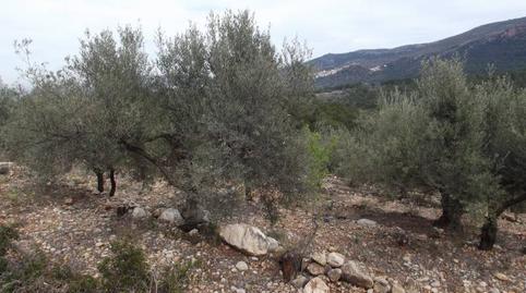 Foto 2 de Terreno en venta en Vilafamés, Castellón