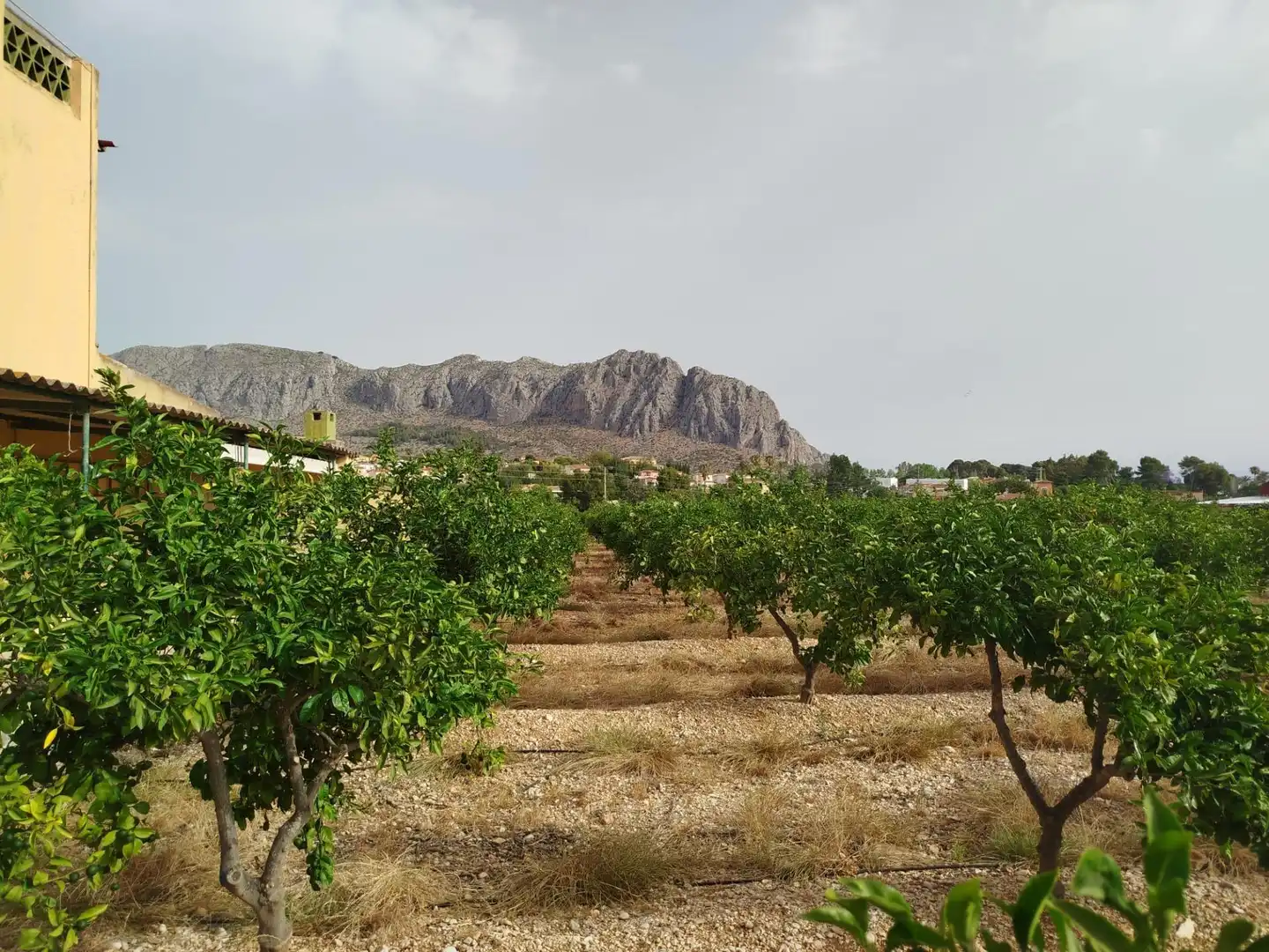 Country homes for sale in Ondara  with Private garden