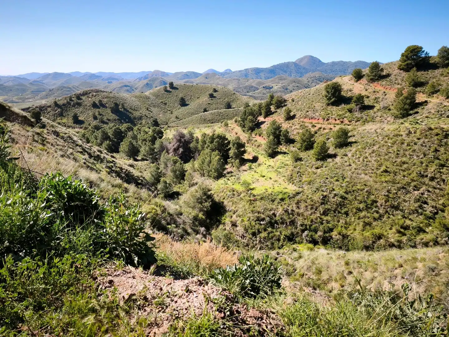 Terrains et parcelles à vendre à MORATA, imagen 4
