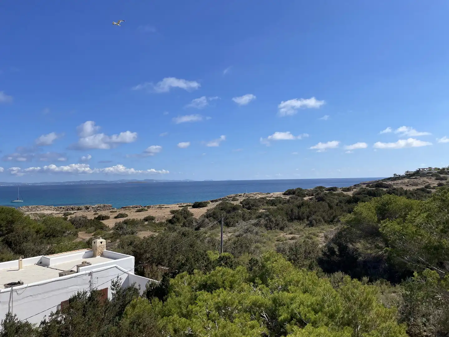 Vista exterior de Casa o xalet en venda en Formentera amb Jardí privat, Terrassa i Piscina
