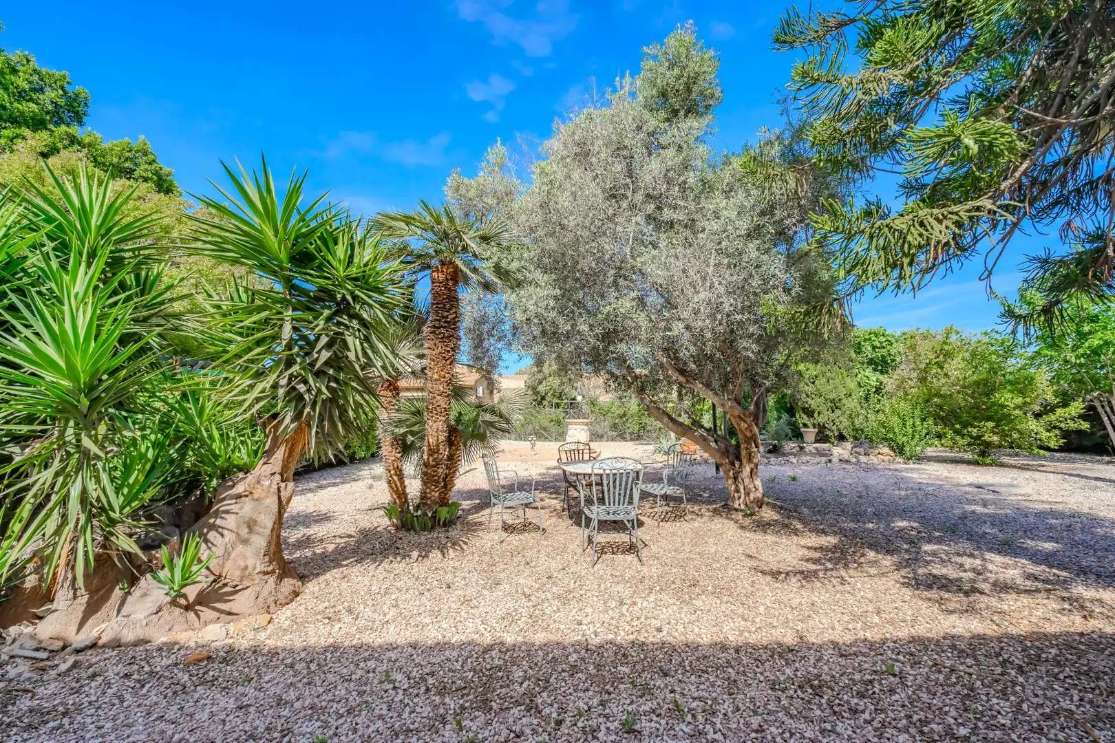 Jardí de Finca rústica en venda en Daya Vieja amb Terrassa i Piscina