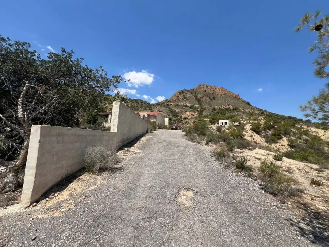 Vista exterior de Finca rústica en venda en Alicante / Alacant