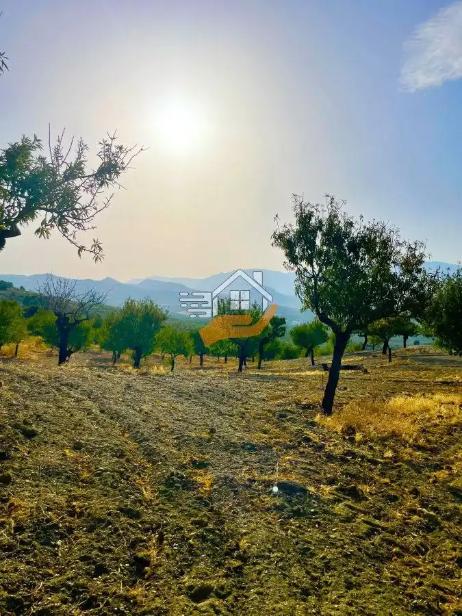 Country house for sale in Vélez-Rubio, imagen 15