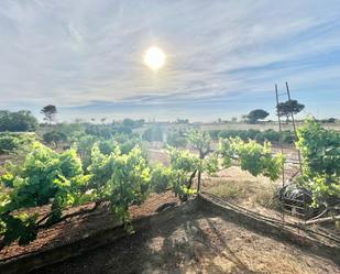 Vista exterior de Casa o xalet en venda en Mairena del Aljarafe amb Terrassa