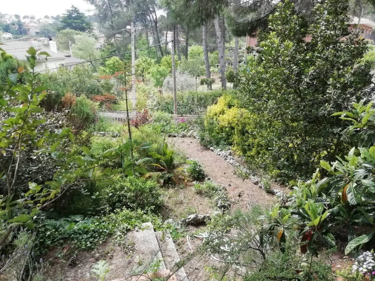 Residential land for sale in Calle Cova Simanya, imagen 20