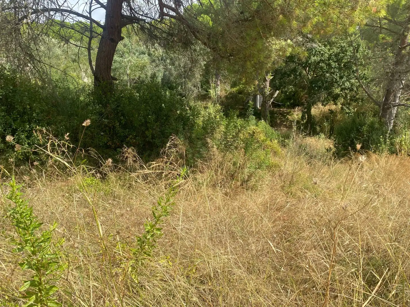Grundstücke und Bauplätze zum Verkauf in Sant Joan - Vilarromà, imagen 15