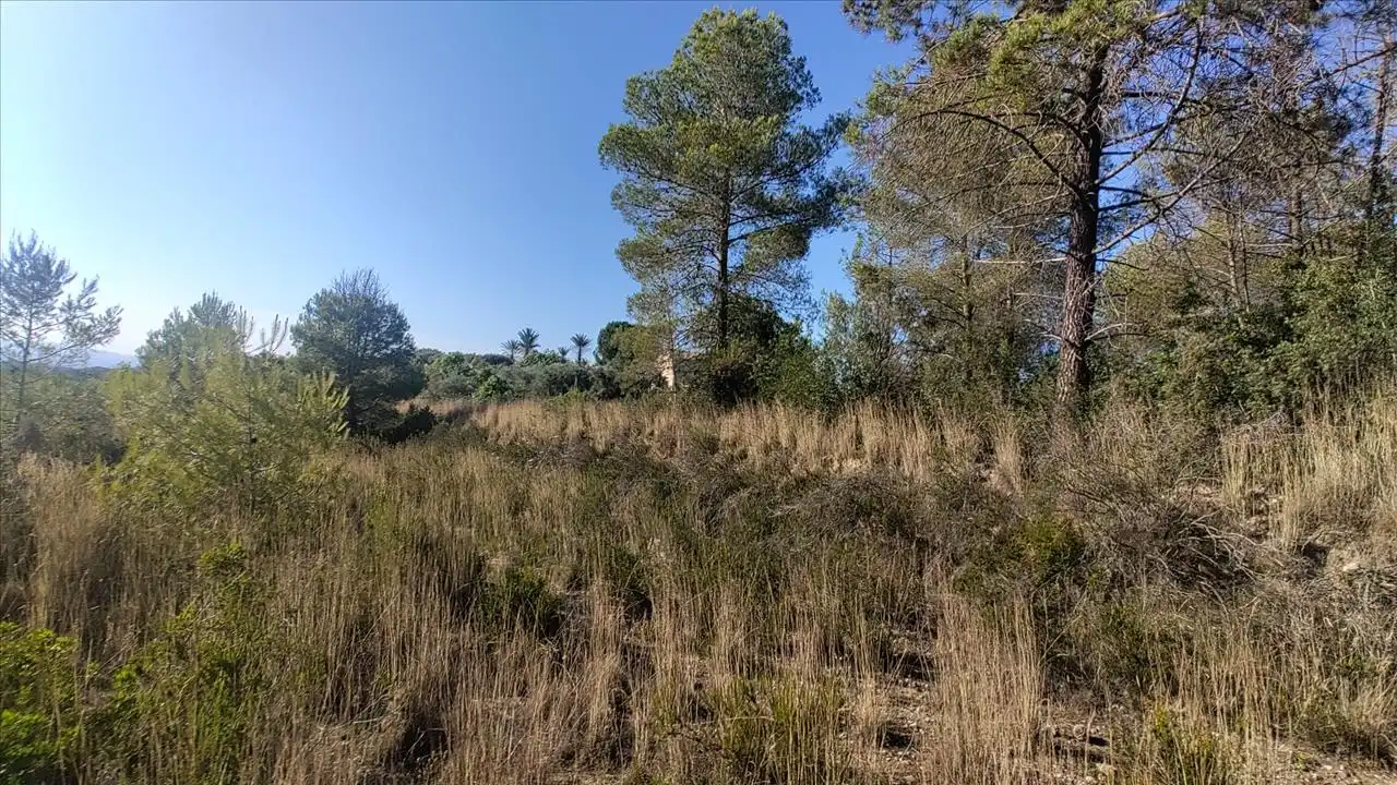 Residential for sale in Quatretonda