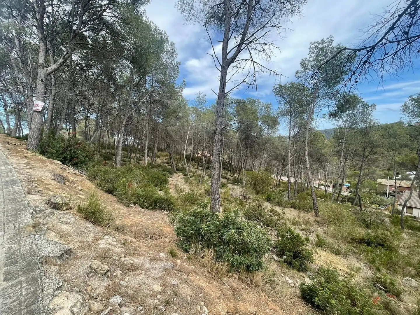 Terreny residencial en venda a Olivella