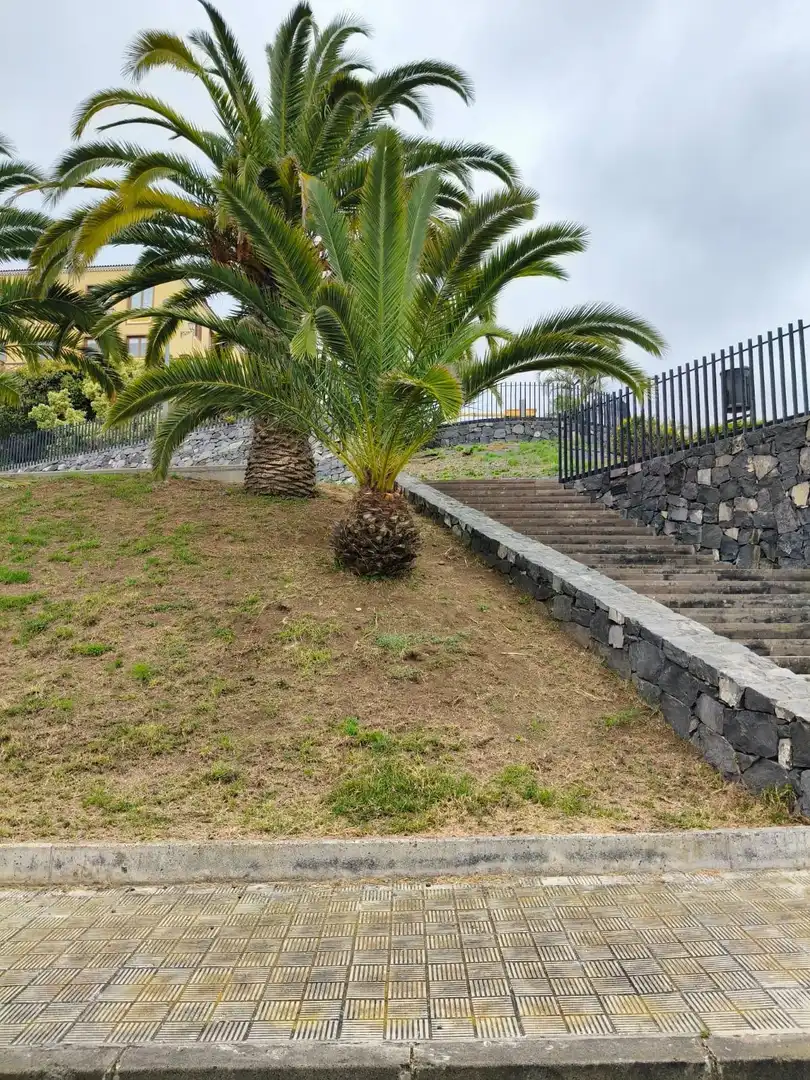 Residencial en venta en Calle PALMA, La Guancha