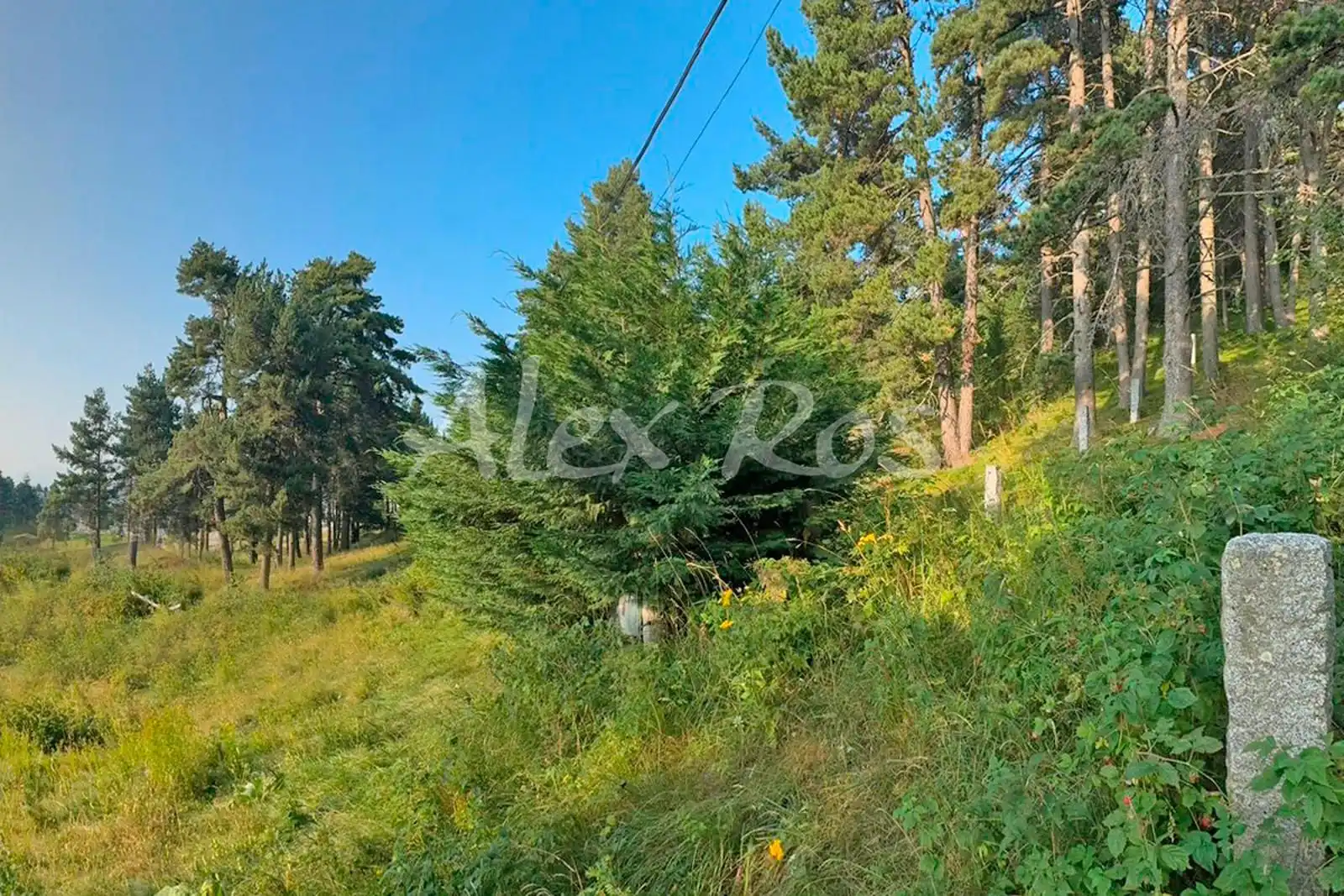 Rustikales Grundstück zum Verkauf in Turo Perdiu, imagen 9