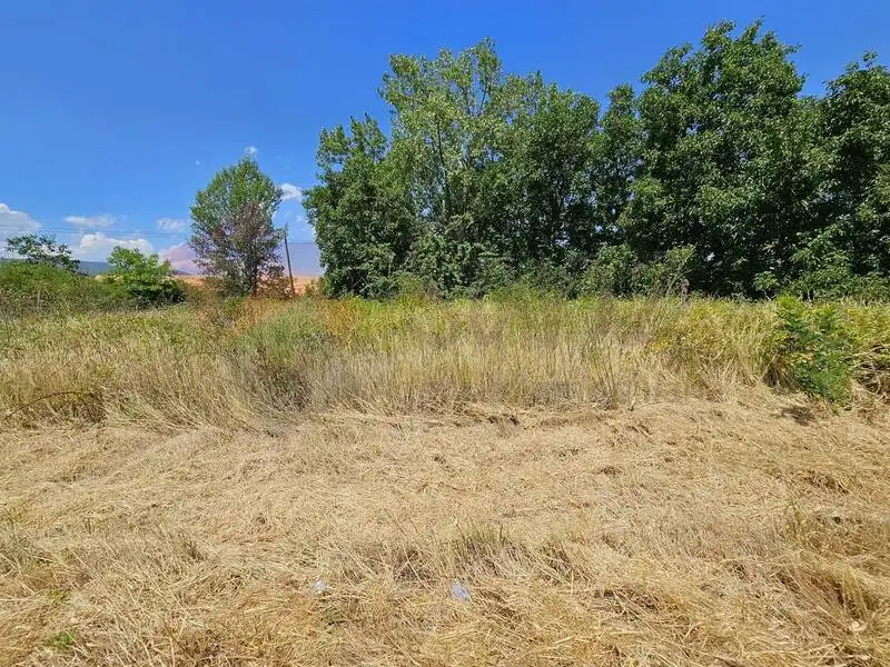 Casa o chalet en venta en Cañas con Jardín privado