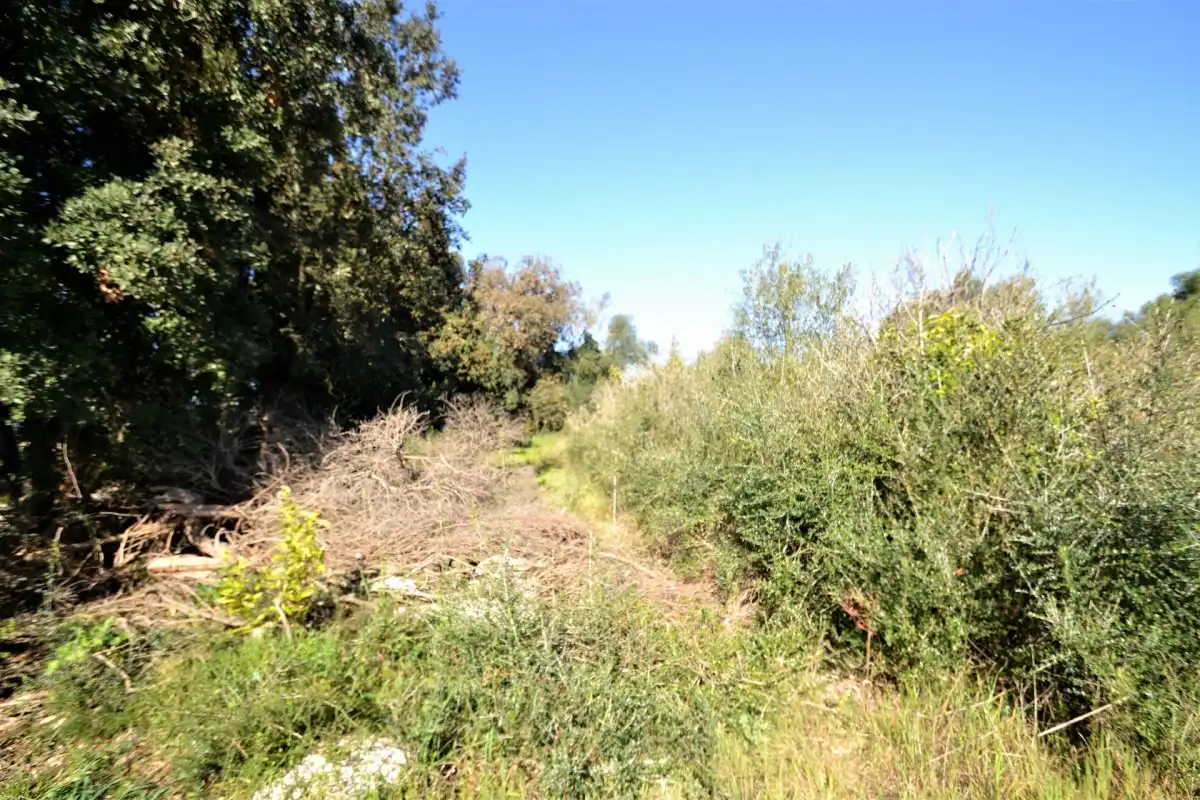 Rural land for sale in Muro, imagen 5