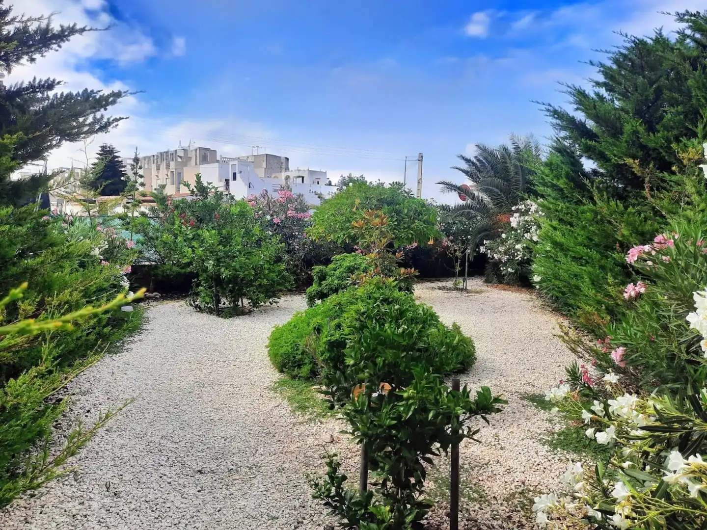 Jardí de Casa o xalet en venda en Torrevieja amb Aire condicionat, Jardí privat i Terrassa