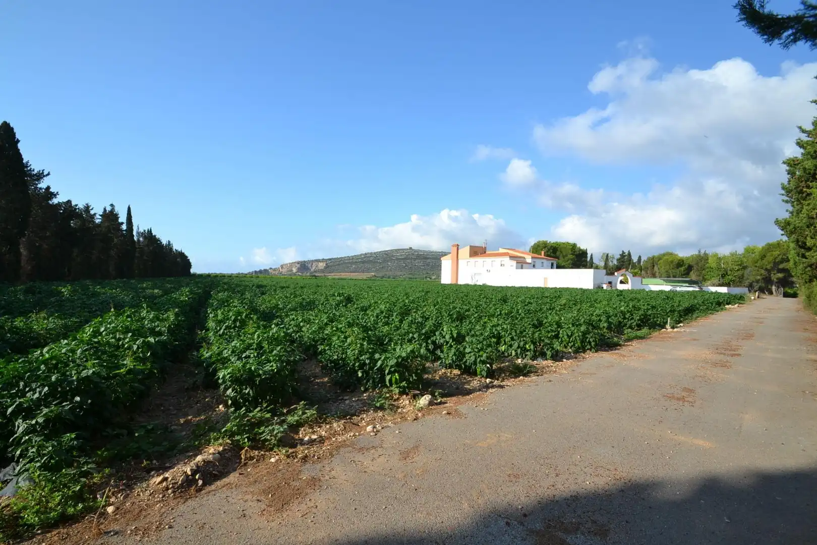 Country house with pool for sale in Partidas de interior - Zona Rústica, imagen 55