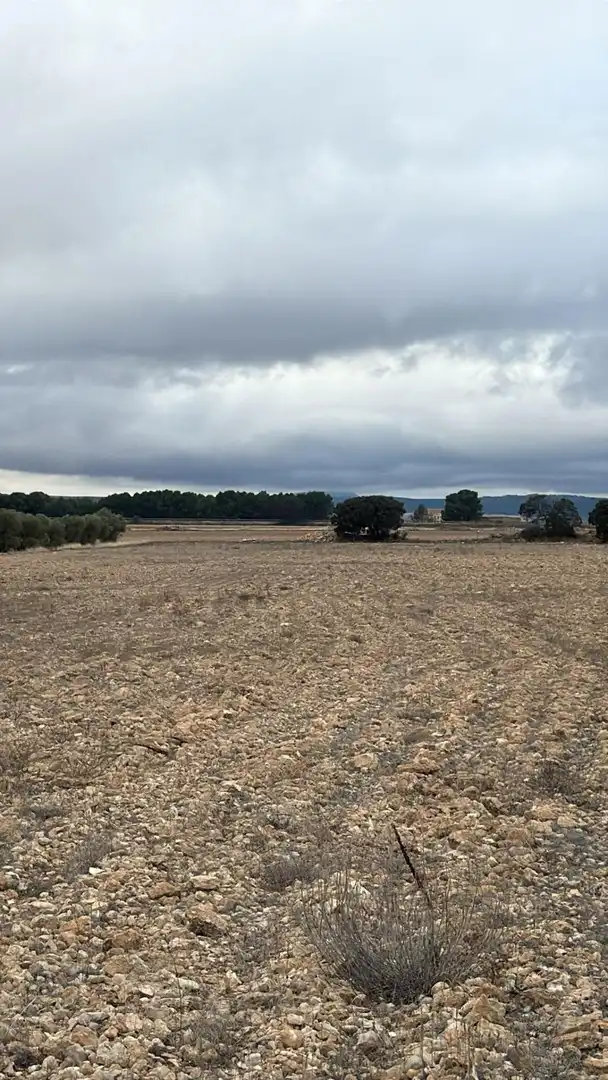 Terrenys i solars en venda a Yecla, imagen 7
