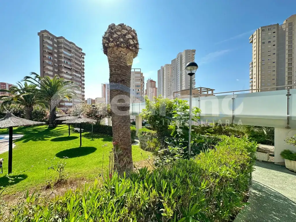 Appartamento con piscina in vendita a Avenida Armada Española, imagen 33
