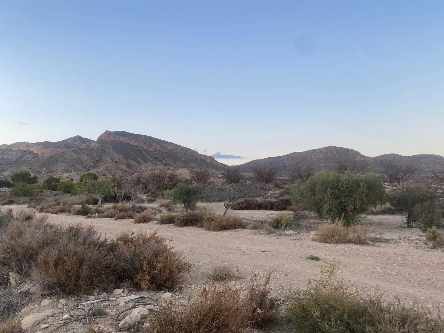 Land for sale in Camí de l'Alcoraia, 21, Cañada del Fenollar