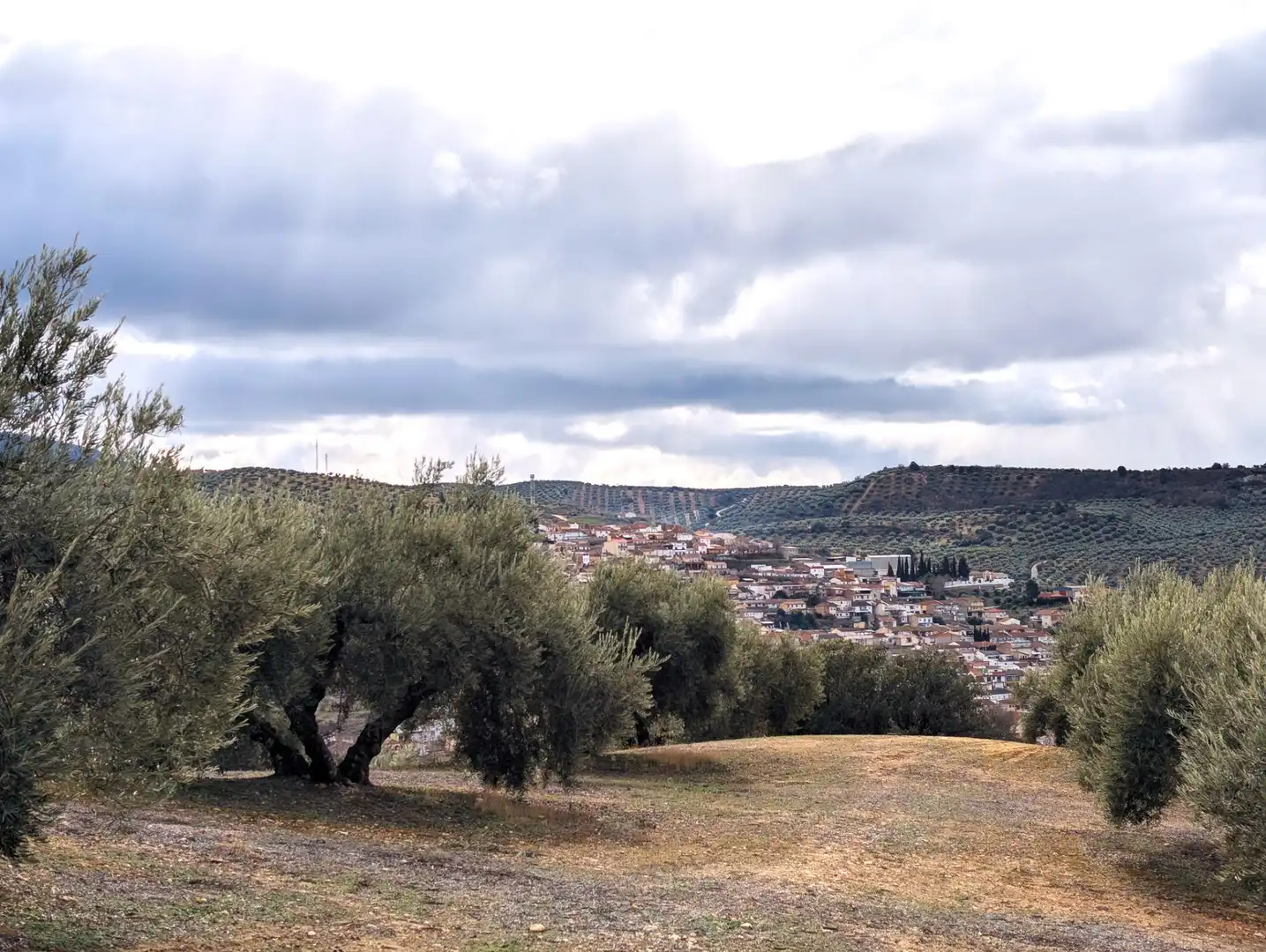 Rustikales Grundstück zum Verkauf in Camino del Vado, imagen 3