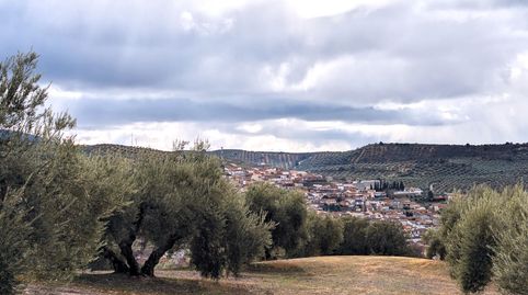 Terreno en Venta en Deifontes con proyecto de inversión, immagine 3