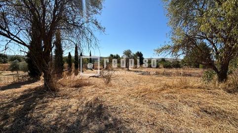 Foto 2 de Casa o xalet en venda a Chinchón, Madrid