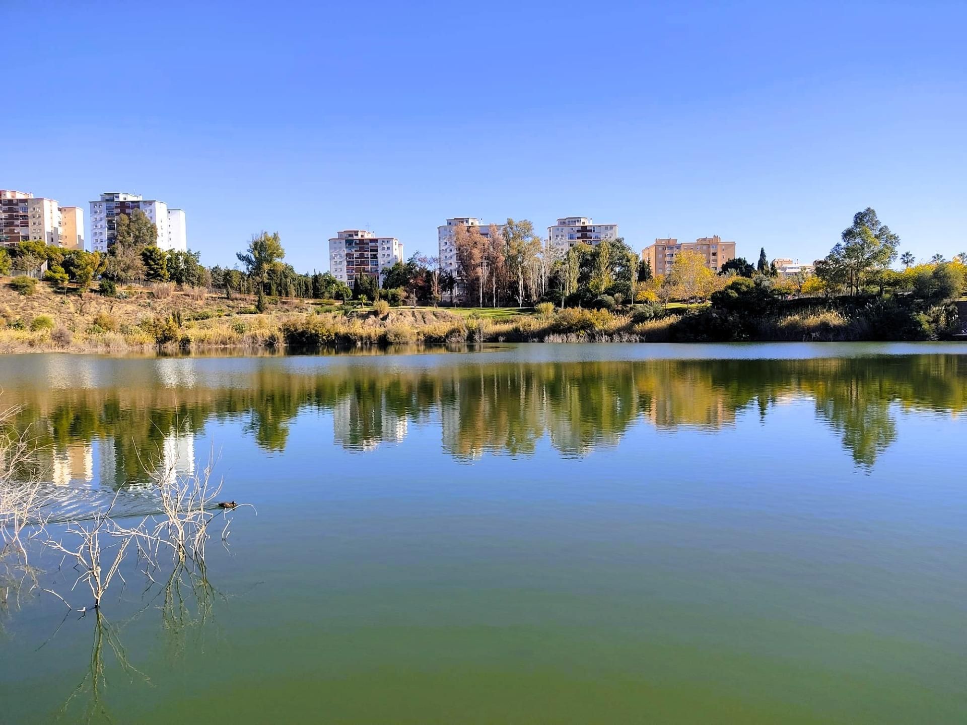 Exterior view of Flat for sale in Málaga Capital