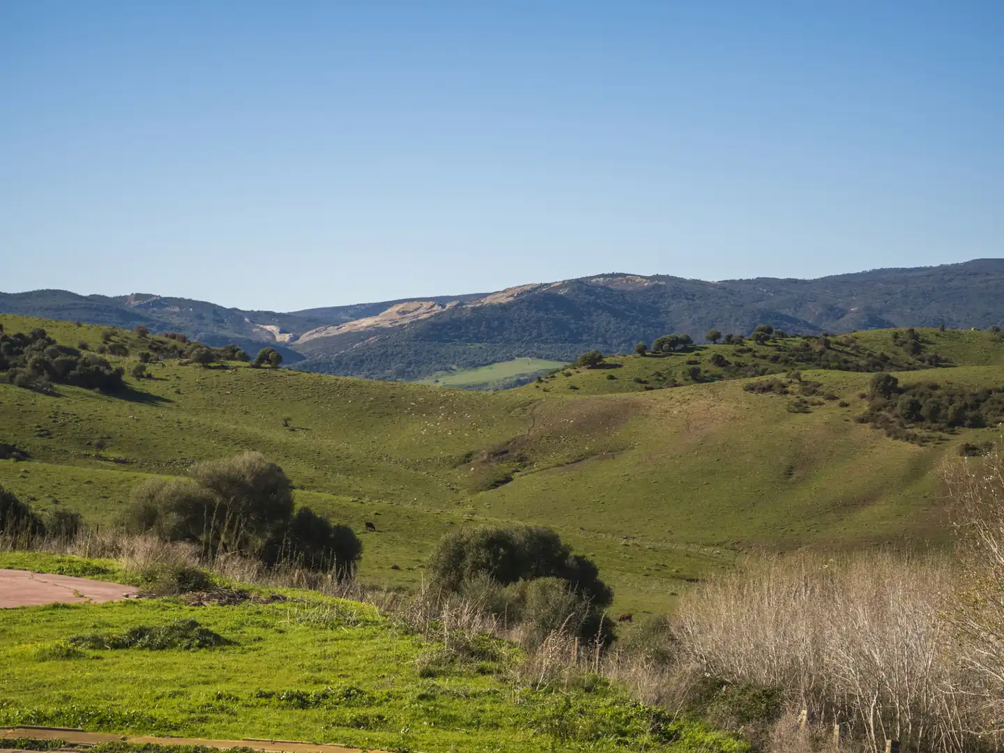 Vista exterior de Finca rústica en venda en San Martín del Tesorillo amb Aire condicionat, Jardí privat i Terrassa