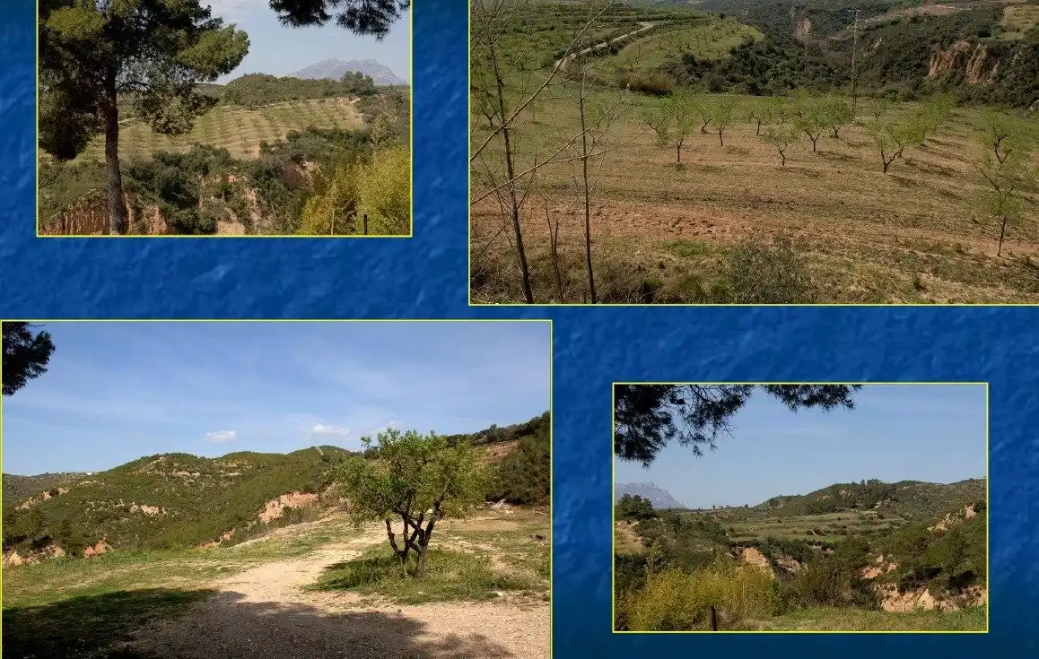 Finca rústica en venta en Castellbisbal, Barcelona
