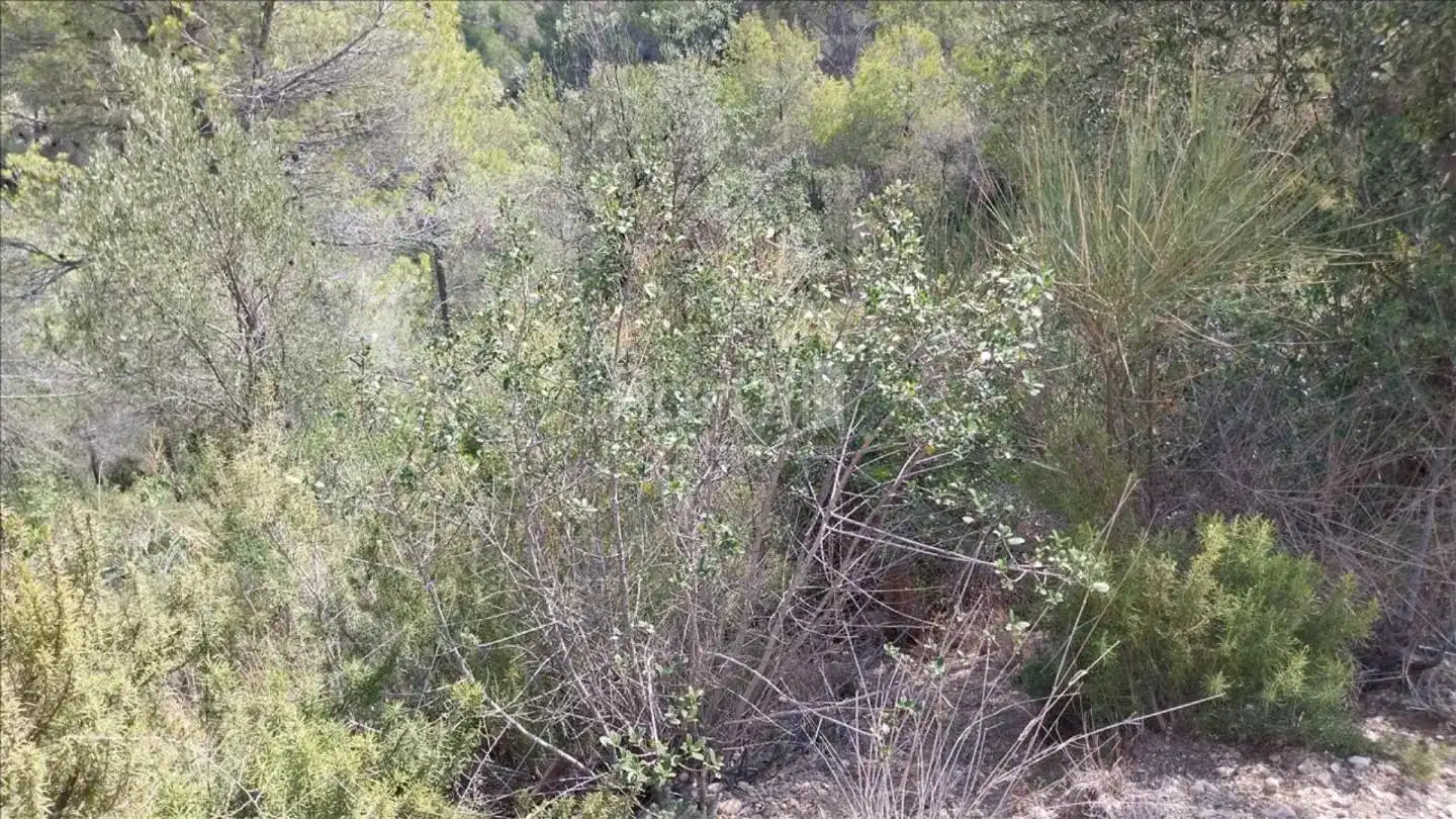 Lands and plots for sale in Viladecavalls, imagen 6