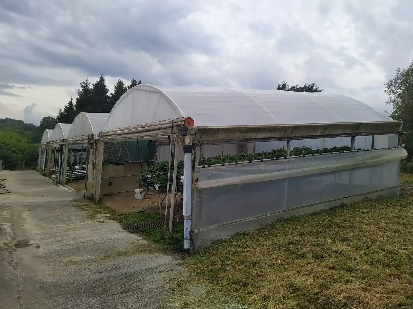 Exterior view of Land for sale in Donostia - San Sebastián 