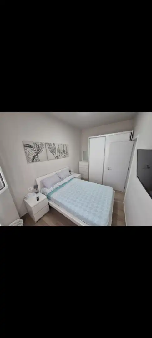 Schlafzimmer von Wohnungen zur Miete in Málaga mit Möbliert