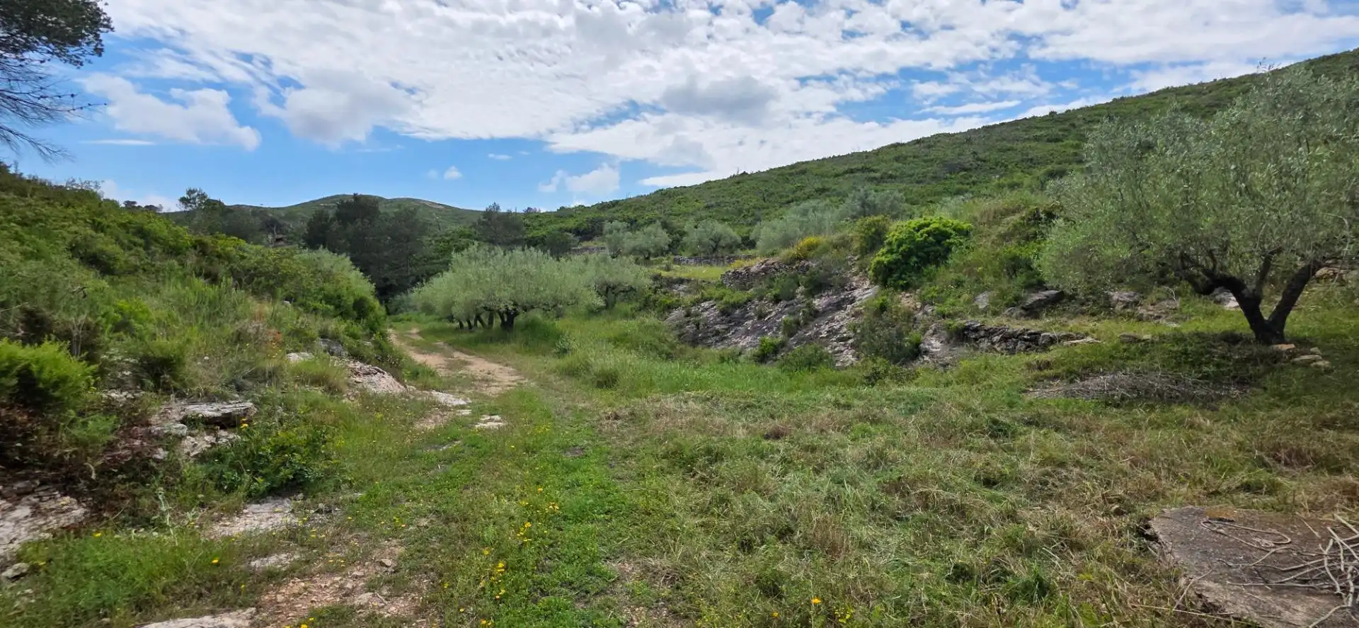 Country house for sale in El Perelló, imagen 8