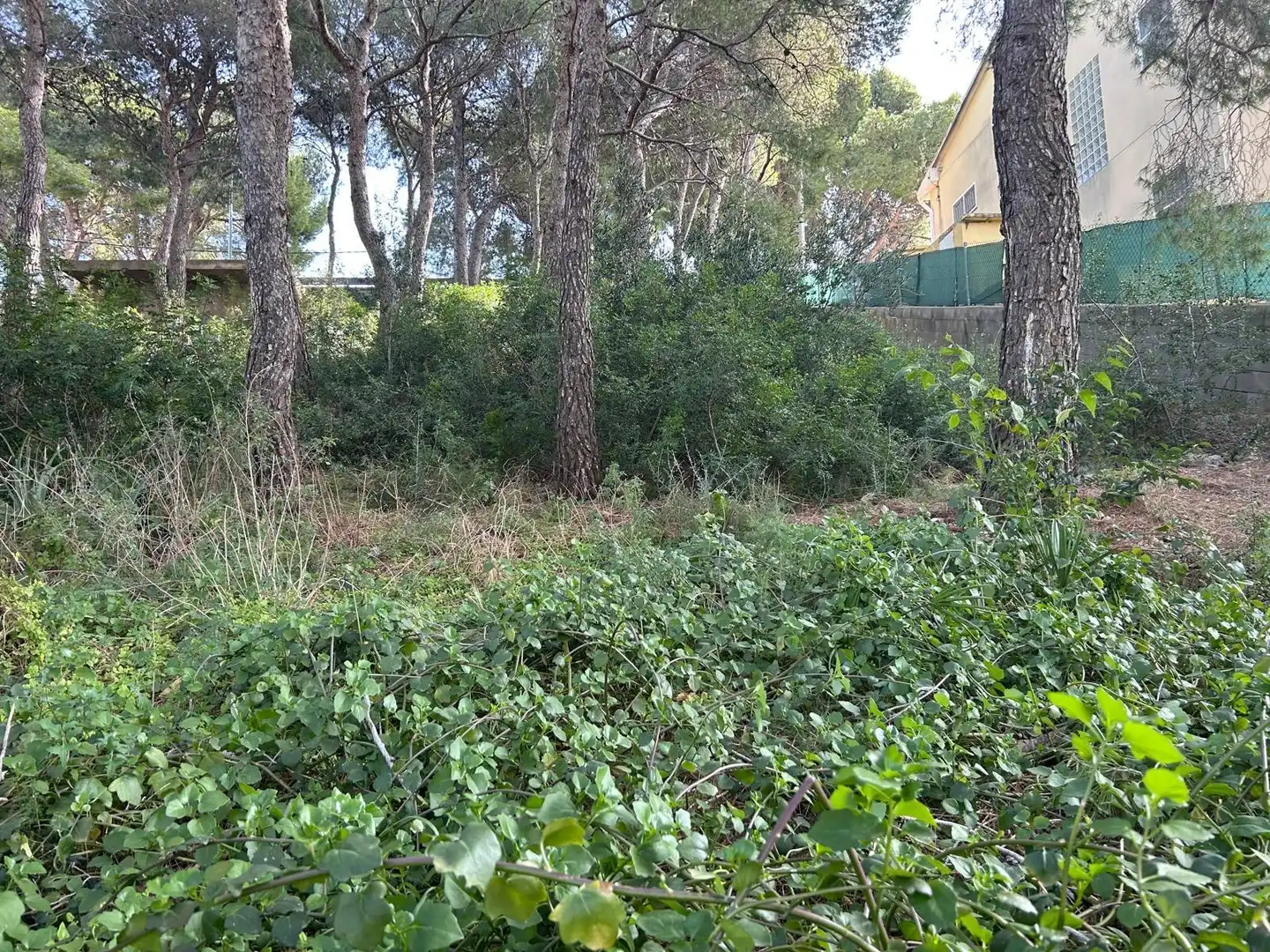 Lands and plots for sale in Segur de Calafell, imagen 9