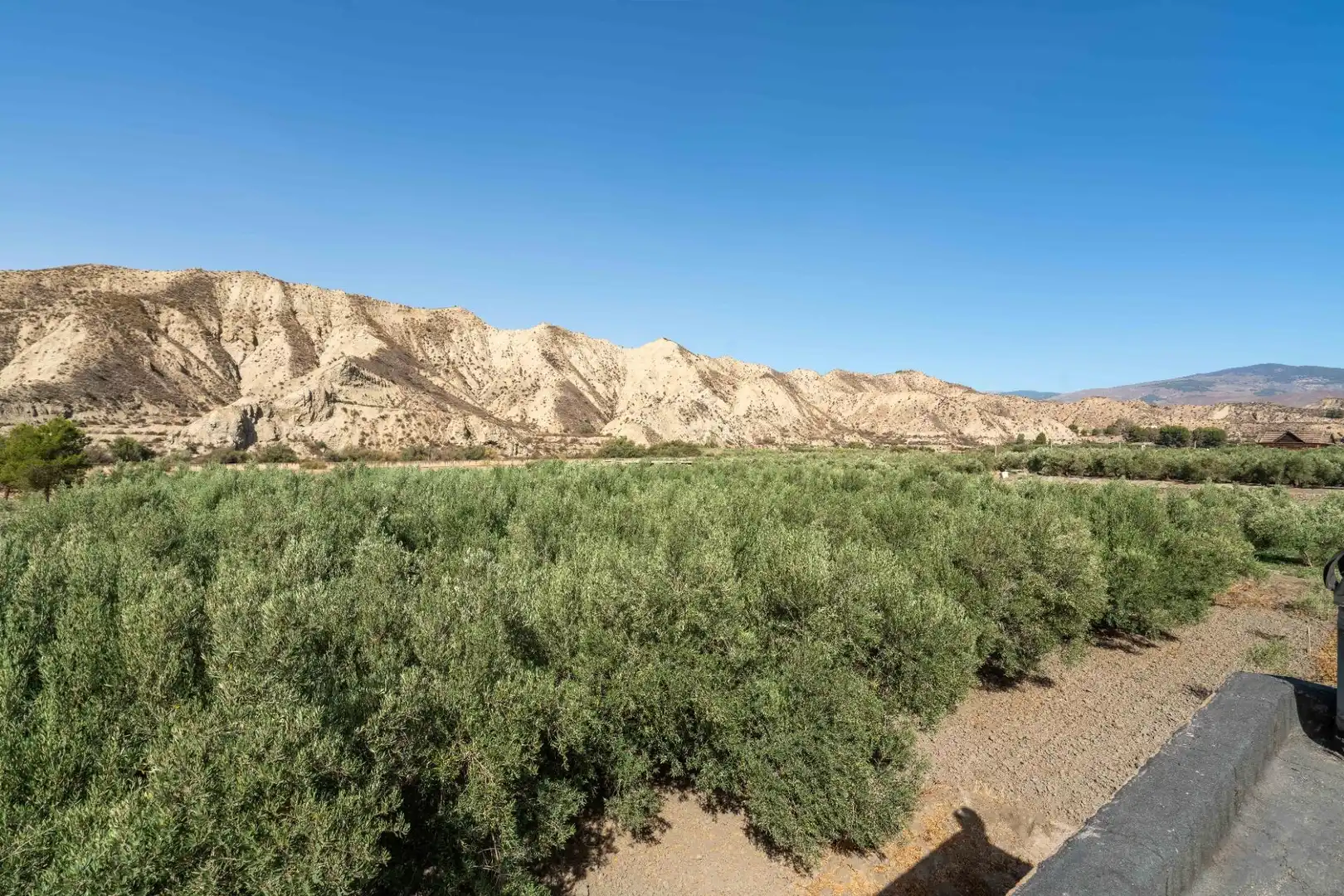 Vista exterior de Residencial en venta en Alsodux