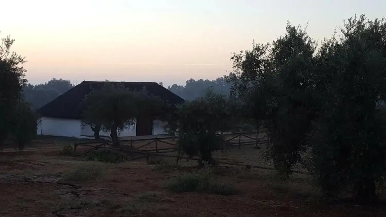 Jardí de Finca rústica en venda en Villamanrique de la Condesa amb Jardí privat i Traster