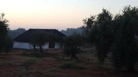 Foto 5 de Finca rústica en venda a Villamanrique de la Condesa, Sevilla