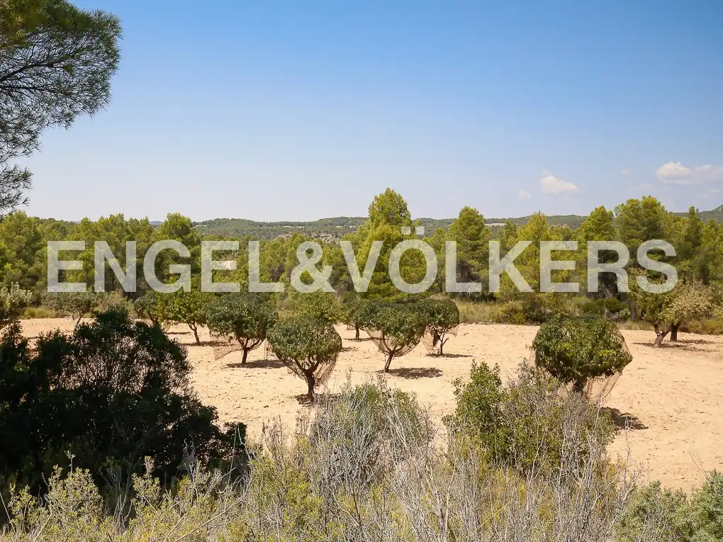 Finca rústica en venda a Requena