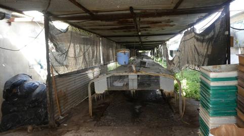 Photo 3 of Industrial buildings to rent in Cabrera, Segorbe, Castellón