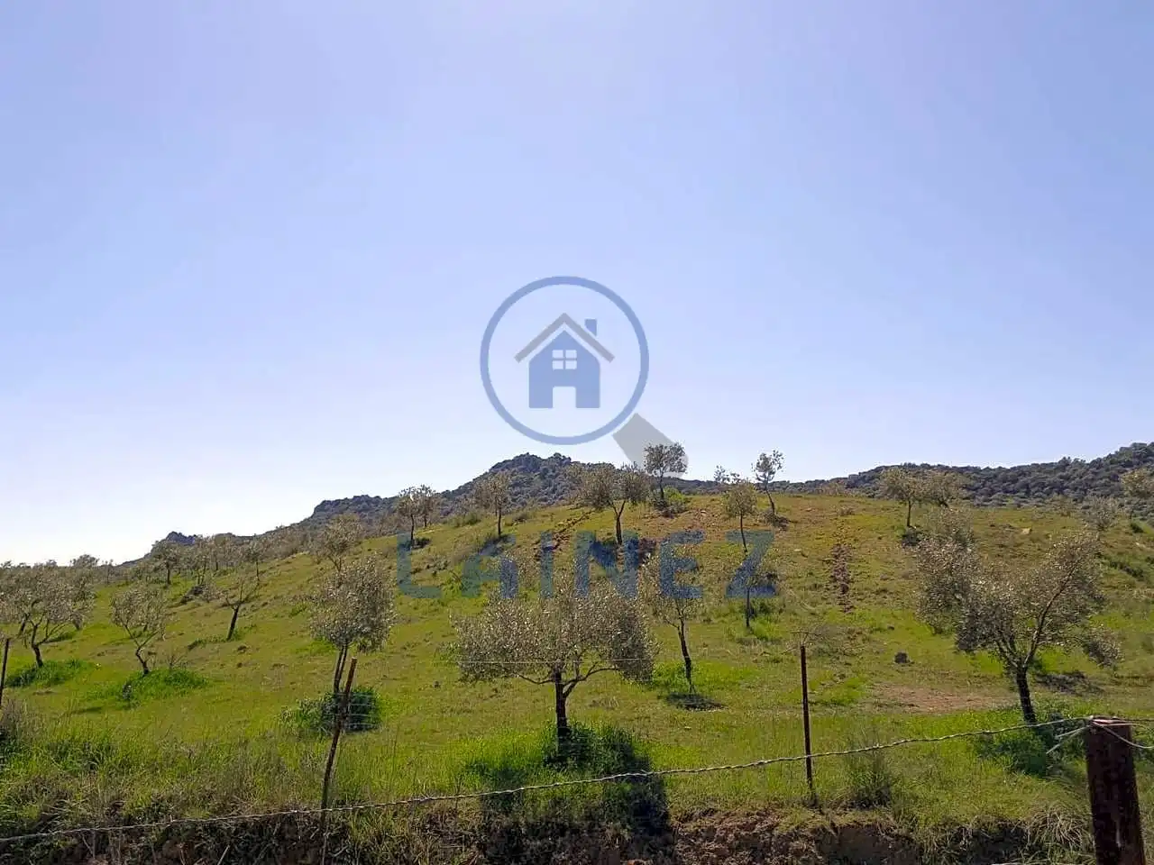 Terreny residencial en venda a Belmez, imagen 5