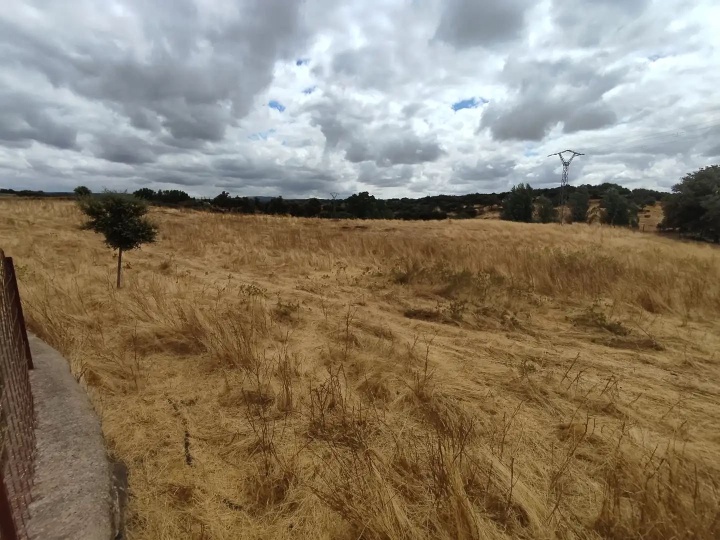 Terreno rustico in vendita a Burguillos del Cerro, imagen 9